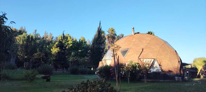 Ein geodätisches Kuppelhaus mit eckigen Fenstern steht inmitten üppiger Vegetation und blühender Sträucher, umgeben von Palmen und Kiefern unter einem strahlend blauen Himmel. Friedliche Atmosphäre.