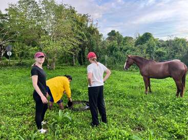 Tres personas se encuentran en un frondoso campo verde, una de ellas atendiendo algo en el suelo. Un caballo marrón está cerca, rodeado de árboles y vegetación.