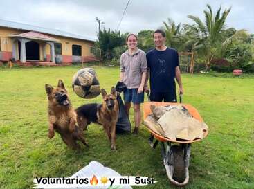 Dos personas están de pie en un campo cubierto de hierba con una carretilla y una bolsa de basura. Dos pastores alemanes juegan, uno salta a una pelota. El texto dice: "Voluntarios🔥☀️y mi Susi".