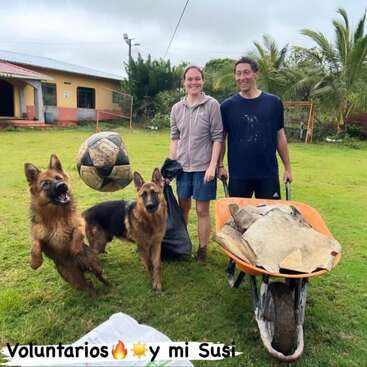 Dos personas están de pie en un campo cubierto de hierba con una carretilla y una bolsa de basura. Dos pastores alemanes juegan, uno salta a una pelota. El texto dice: "Voluntarios🔥☀️y mi Susi".