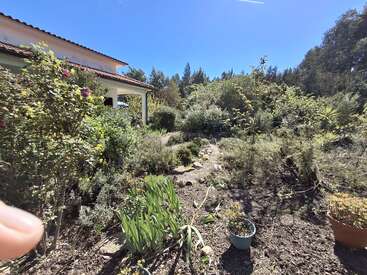 Um jardim ensolarado, com plantas verdes exuberantes, árvores e arbustos, rodeia uma casa com telhado de telhas. Um caminho de pedra serpenteia por essa paisagem viçosa.