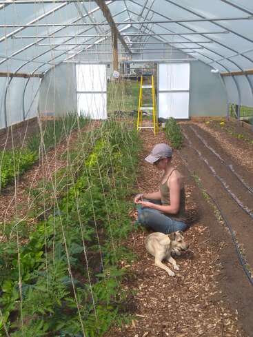 Eine Frau sitzt in einem Gewächshaus auf dem Boden und kümmert sich um die Grünpflanzen. Ein Hund liegt neben ihr. Im Hintergrund steht eine gelbe Leiter.