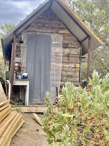Eine kleine rustikale Holzhütte mit einem Metalldach steht zwischen Bäumen. Topfpflanzen und ein Helm liegen auf einem Tisch am Eingang, umgeben von Grünzeug.