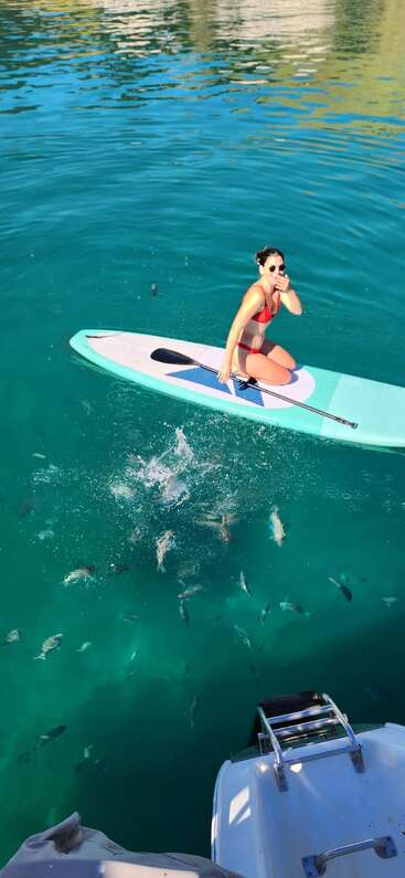 Eine Frau im roten Bikini sitzt lächelnd und mit Sonnenbrille auf einem Paddelbrett, umgeben von klarem blauen Wasser, Fischen und dem Rand eines Bootes.