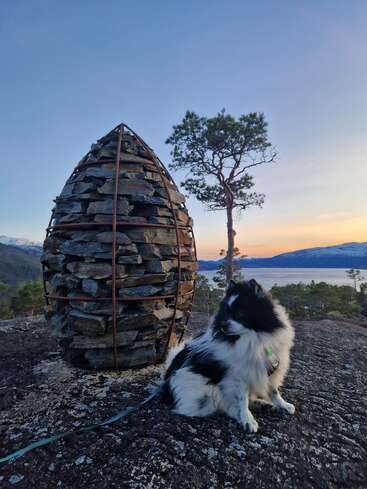 Ein flauschiger schwarz-weißer Hund sitzt auf felsigem Boden in der Nähe einer eiförmigen Steinskulptur, mit einem einsamen Baum, Bergen und einem ruhigen Sonnenuntergang im Hintergrund.