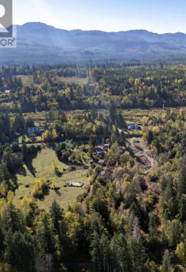 Dieses Luftbild zeigt eine üppig grüne Waldlandschaft mit vereinzelten Häusern und offenen Feldern vor dem Hintergrund entfernter Berge unter klarem Himmel.