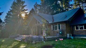 A cozy wooden house with a dark roof sits among tall pine trees. Sunlight streams through the branches, casting a warm glow over the peaceful yard.