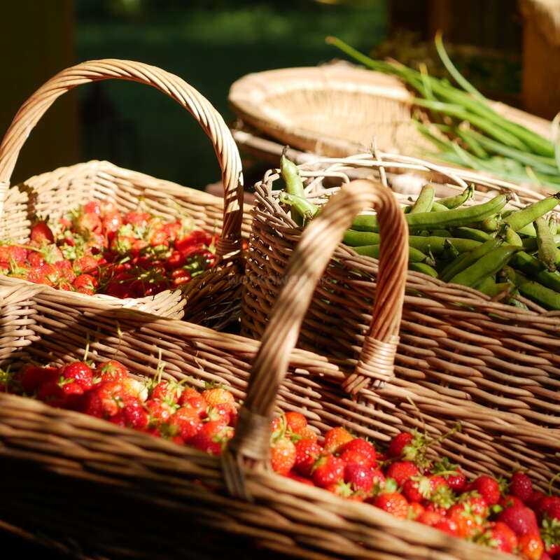 Drei geflochtene Körbe, gefüllt mit frischem Obst und Gemüse, stehen im warmen Sonnenlicht. Zwei Körbe sind voll mit reifen roten Erdbeeren und einer enthält grüne Bohnen.