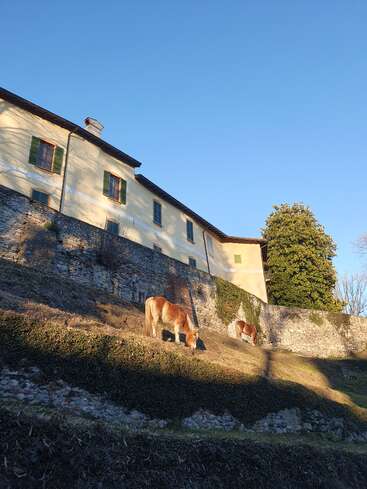 L'image représente deux chevaux broutant sur une colline devant une grande maison jaune avec un mur en pierre et un ciel bleu clair.