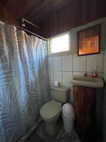 This bathroom features a shower with a leaf-patterned curtain, a toilet, a small sink with a wood base, mirror, window, and a trash can.