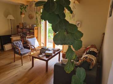 A cozy living room with wooden floors, abundant indoor plants, natural light from glass doors, comfy chairs, bookshelves, a coffee table, and a colorful blanket.