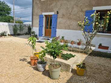 A charming house with blue shutters, surrounded by potted plants and a small garden. Gravel courtyard, bright sunlight, and vibrant green foliage create a peaceful atmosphere.