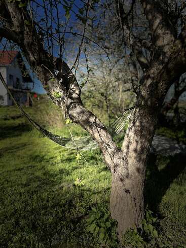 A luz do sol passa por uma árvore frondosa, projetando sombras em uma rede verde amarrada entre os galhos. Ao fundo, uma casa branca com telhado vermelho.