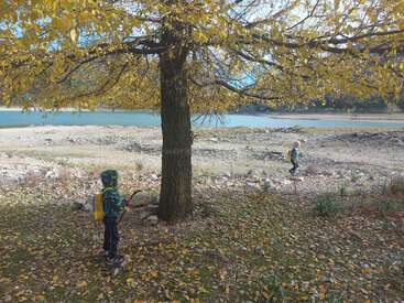 Deux enfants portant des sacs à dos explorent les berges d'une rivière sous un grand arbre aux feuilles jaunes. Des feuilles d'automne recouvrent le sol, et une rivière bleue tranquille est visible à l'arrière-plan.