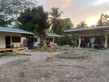 Three small buildings sit beneath palm trees at sunset. A brown and white dog walks across the yard. Hammocks and chairs are visible on the porches.