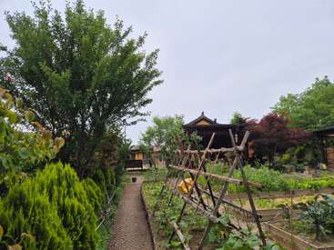 Un jardin paisible avec des arbres verdoyants, des potagers, un sentier en pierre, des treillis en bois et une maison en bois de style traditionnel à l'arrière-plan, sous un ciel nuageux.