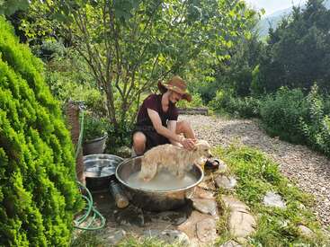 Un homme portant un chapeau marron lave un chien doré dans un grand bassin métallique en plein air, entouré d'une végétation luxuriante et d'un sentier en pierre, par une journée ensoleillée.