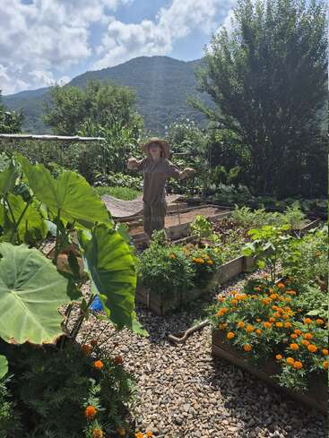 A person wearing a wide-brimmed hat stands playfully in a lush garden surrounded by vibrant flowers and greenery, with scenic mountains and blue sky behind.