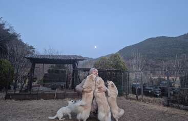 Eine Person steht im Freien und umarmt freudig vier helle Hunde. Die Szene spielt vor einer Bergkulisse unter einem Dämmerungshimmel mit sichtbarem Mond.