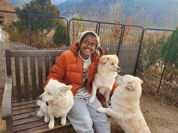 A smiling person in an orange jacket sits on a bench outdoors, surrounded by three fluffy white dogs, with mountains and trees in the background.