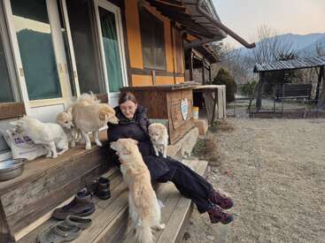 A woman sits on wooden steps outside a rustic house, surrounded by five friendly dogs. She smiles, enjoying their company on a peaceful, sunny day.