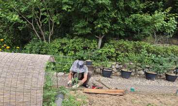 Una persona con gorro y guantes trabaja en un frondoso jardín, rodeada de árboles, macetas, herramientas de jardinería y una valla de bambú al fondo.