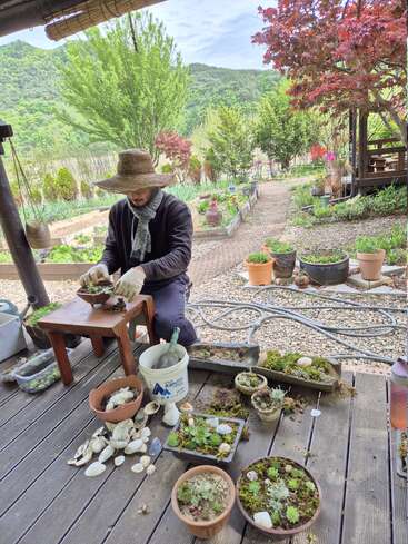 Una persona que lleva un sombrero de ala ancha y guantes coloca suculentas y conchas en macetas sobre una terraza de madera, rodeada de un exuberante paisaje de jardines y montañas.
