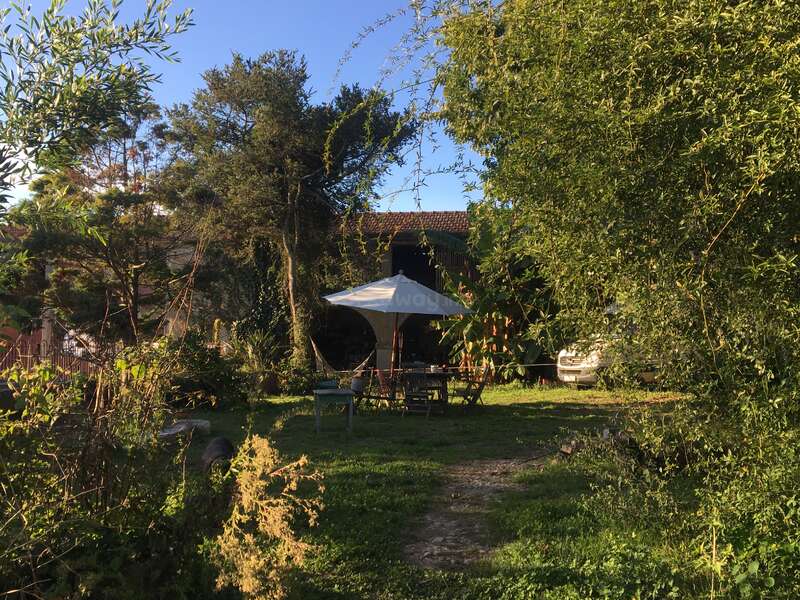 The image depicts a serene backyard scene with a patio umbrella, outdoor furniture, and lush greenery, set against a clear blue sky.