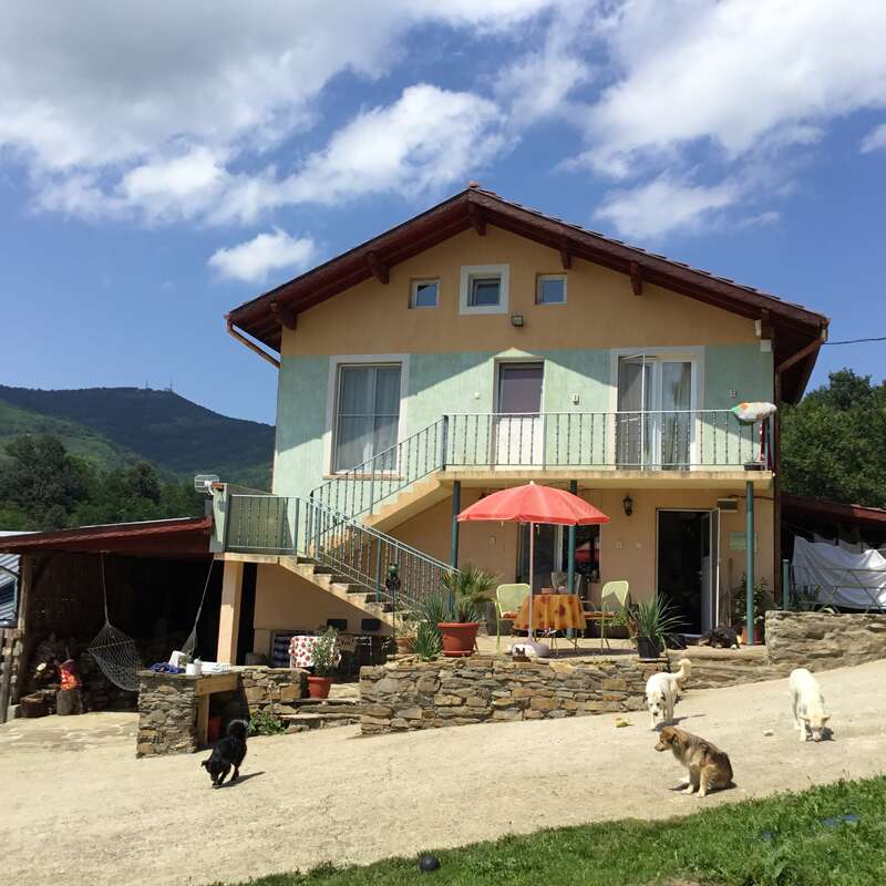 The image depicts a two-story house with a balcony and stairs, featuring a red umbrella, surrounded by dogs, set against a backdrop of trees and hills under a blue sky with clouds.