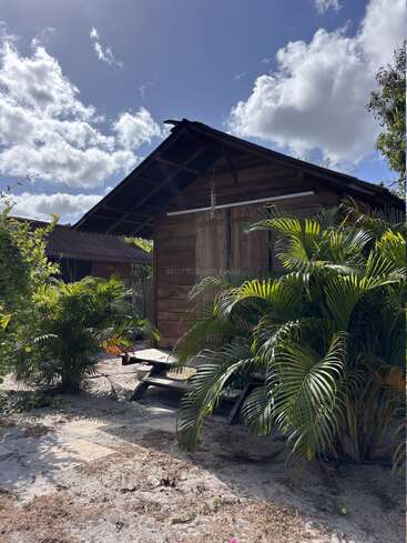 Une cabane rustique en bois se trouve sous un ciel clair et nuageux, entourée de palmiers verdoyants, d'un sol sablonneux et d'une végétation naturelle, évoquant une atmosphère tropicale et paisible.