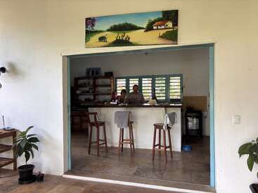 Une cuisine confortable avec trois tabourets de bar face à un comptoir, deux personnes derrière. Fenêtres bordées de bleu, étagères ouvertes, plantes en pot et tableau de paysage au-dessus.