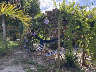 Une scène de jardin paisible avec deux chaises longues à rayures bleues, un hamac, une pergola couverte de vignes vertes et de fleurs violettes, entourée de plantes tropicales sous le soleil.