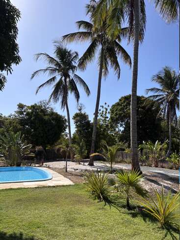 De grands palmiers se balancent au-dessus d'un jardin serein avec une piscine bleue, une pelouse luxuriante et des plantes tropicales sous un ciel clair, lumineux et ensoleillé.