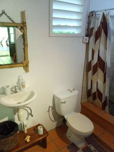 Um banheiro aconchegante com vaso sanitário, pia, espelho pequeno, chuveiro com uma cortina estampada, banco de madeira, janela, lixeira e algumas decorações de conchas.