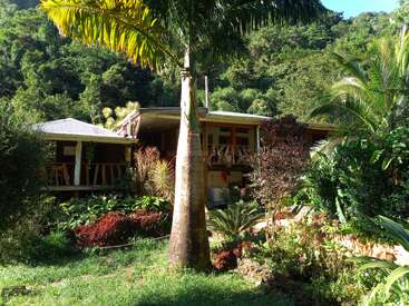 Uma casa charmosa aninhada em uma vegetação exuberante, cercada por plantas vibrantes e palmeiras altas, criando uma atmosfera tranquila de jardim tropical sob a luz do sol.