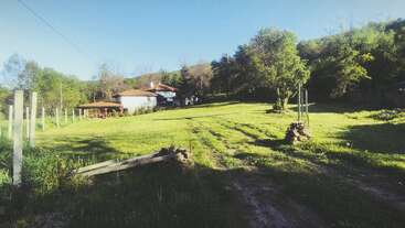 Dieses Bild zeigt eine friedliche ländliche Szene mit einem weißen Haus, einer grünen Wiese, vereinzelten Bäumen, hölzernen Zaunpfählen und einem klaren blauen Himmel an einem sonnigen Tag.