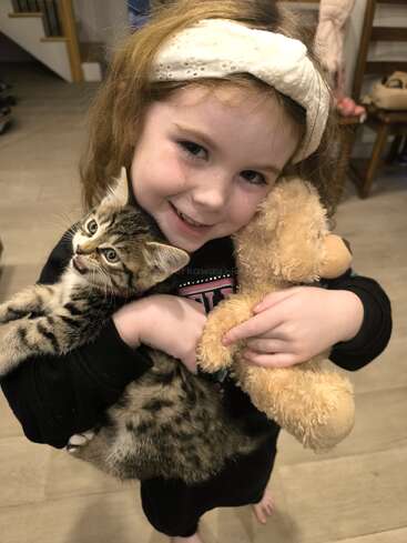 Une jeune fille souriante aux cheveux bruns et au bandeau blanc serre dans ses bras un chaton tabby et un ours en peluche, rayonnant de bonheur et de chaleur à l'intérieur.