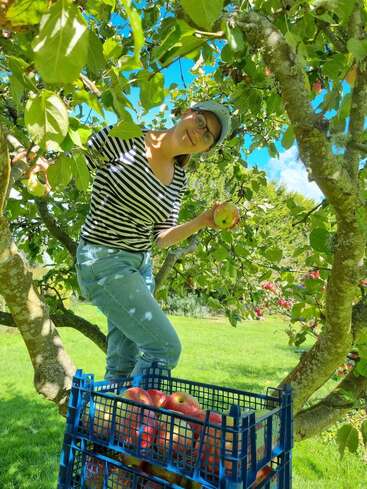 Une femme vêtue d'un t-shirt rayé et d'une casquette sourit tout en cueillant des pommes sur un arbre. Une caisse bleue posée à ses pieds est remplie de pommes fraîchement cueillies.
