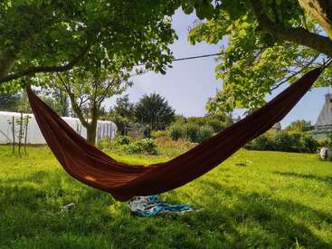 An einem sonnigen Tag hängt eine braune Hängematte zwischen zwei Bäumen. Grünes Gras, grüne Bäume und ein friedlicher Garten sorgen für eine entspannte Atmosphäre im Freien.