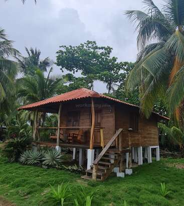 A charming wooden cabin with a red roof stands elevated on white stilts, surrounded by lush green palm trees, tropical plants, and a cloudy sky.