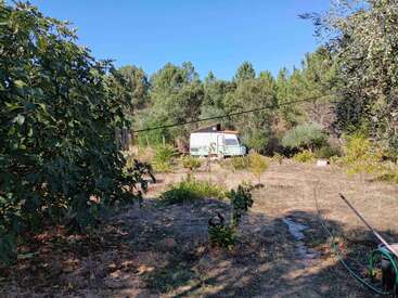 A sunny rural scene shows a garden with green trees, a white van parked in the background, scattered plants, and a hose lying across the dry ground.