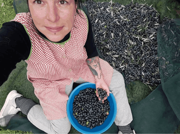 A woman wearing a red-checkered apron sits on grass, holding a blue bucket filled with freshly harvested black olives, surrounded by more olives spread on nets.