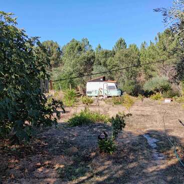 Une scène rurale ensoleillée montre un jardin avec des arbres verts, une camionnette blanche garée à l'arrière-plan, des plantes éparses et un tuyau d'arrosage étendu sur le sol sec.