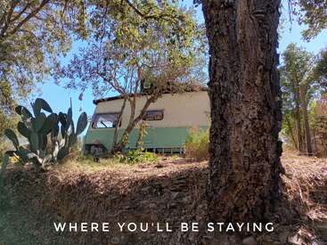 Una caravana de época está acurrucada bajo los árboles en un día soleado, rodeada de naturaleza y cactus. Debajo aparece la inscripción "DONDE TE QUEDARÁS".