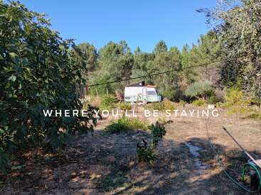 Una pequeña autocaravana blanca está aparcada en una zona rural soleada, rodeada de árboles y plantas. El suelo está seco. El texto dice: "DONDE TE QUEDARÁS".