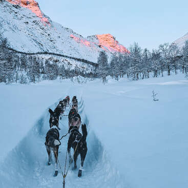 L'image représente une scène hivernale sereine avec un attelage de chiens tirant un traîneau dans un paysage enneigé, entouré d'arbres et de montagnes au loin.