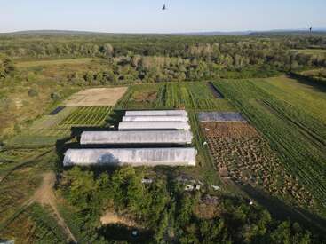 This aerial image shows four large greenhouses in a rural landscape, surrounded by cultivated fields, greenery, and distant forest under a clear sky.
