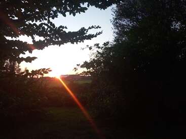 A imagem captura um pôr do sol sereno em meio a árvores e arbustos densos, com um raio de sol laranja vibrante atravessando a vegetação escura, criando uma cena natural pacífica.