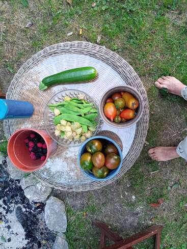 Uma mesa de vime exibe produtos recém-colhidos da horta: abobrinha, tomates, frutas vermelhas, feijões e cerejas moídas. Pés descalços e grama verde enfatizam um ambiente rústico ao ar livre.