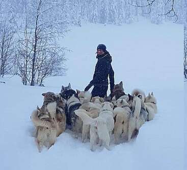 Eine Frau steht im Schnee, umgeben von einem Rudel Hunde, mit Bäumen und einem verschneiten Berghang im Hintergrund, alles mit Schnee bedeckt.